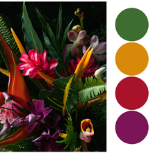 Load image into Gallery viewer, Tropical Florals Design Workshop - June 11th - Bowen&#39;s Botanicals