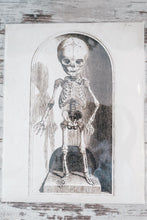 Load image into Gallery viewer, Prescott Florist - 11&quot; x 14&quot; Vintage Art Prints - Bowen&#39;s Botanicals