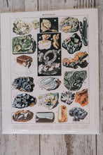 Load image into Gallery viewer, Prescott Florist - 11&quot; x 14&quot; Vintage Art Prints - Bowen&#39;s Botanicals