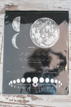 Load image into Gallery viewer, Prescott Florist - 11&quot; x 14&quot; Vintage Art Prints - Bowen&#39;s Botanicals