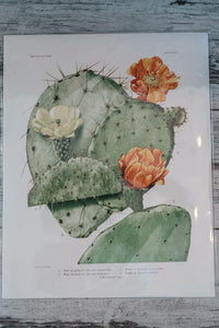 Prescott Florist - 11" x 14" Vintage Art Prints - Bowen's Botanicals