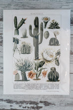 Load image into Gallery viewer, Prescott Florist - 11&quot; x 14&quot; Vintage Art Prints - Bowen&#39;s Botanicals