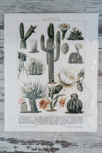 Prescott Florist - 11" x 14" Vintage Art Prints - Bowen's Botanicals
