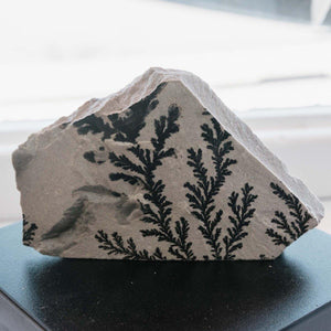 Prescott Florist - 5" Dendritic Limestone - Bowen's Botanicals