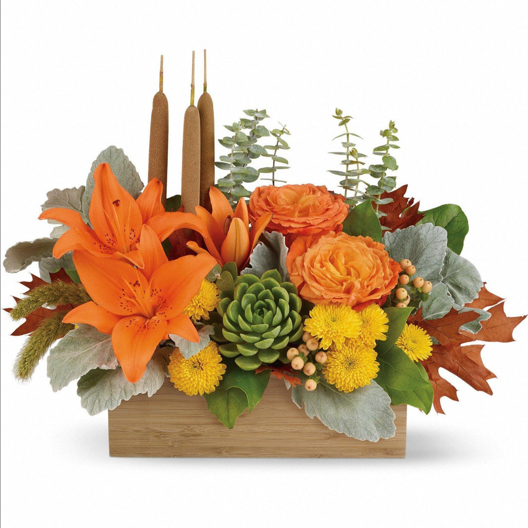 Prescott Florist - Fall Bamboo Garden - Bowen's Botanicals