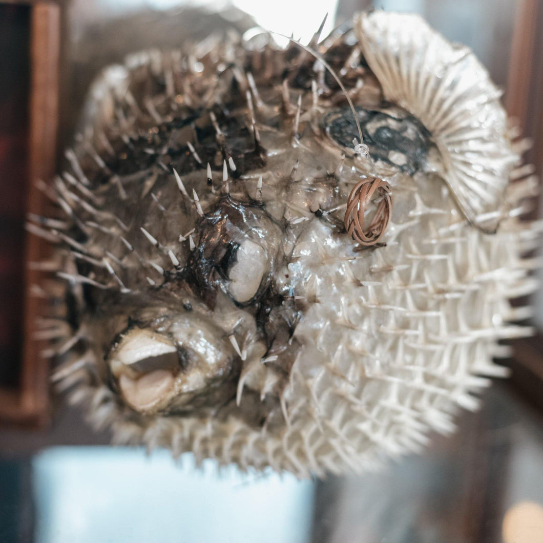 Prescott Florist - Taxidermy - Bowen's Botanicals