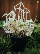 Load image into Gallery viewer, Crystal Plant Trellis