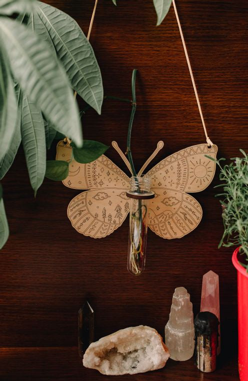 Lunar Butterfly Wall Propagation Station