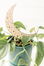 Load image into Gallery viewer, Moon Plant Trellis - Multiple Sizes Available