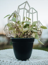 Load image into Gallery viewer, Crystal Plant Trellis