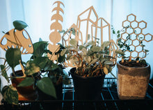 Load image into Gallery viewer, Crystal Plant Trellis