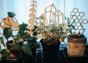 Crystal Plant Trellis