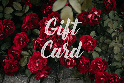 Digital Gift Cards ($50, $100, $200, $300, or 